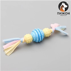 Игрушка жевательная Пижон Premium на верёвке, 3 элемента, термопластичная резина, микс