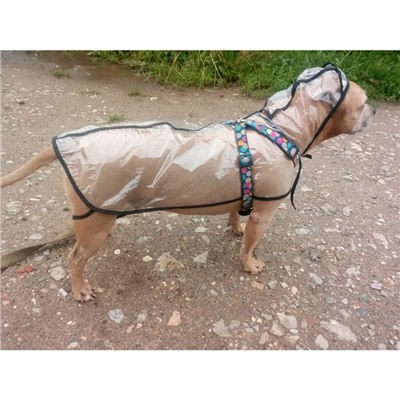 Дождевик с капюшоном для собак OSSO, р. 35 (ДС 35 см), прозрачный, окантовка микс цветов