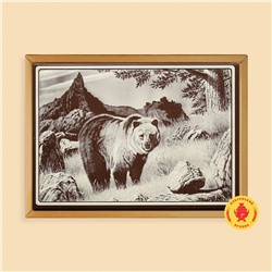 Медведь (700 грамм)