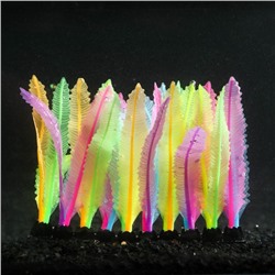 Растение силиконовое аквариумное, светящееся в темноте, 14 х 10 см, разноцветное