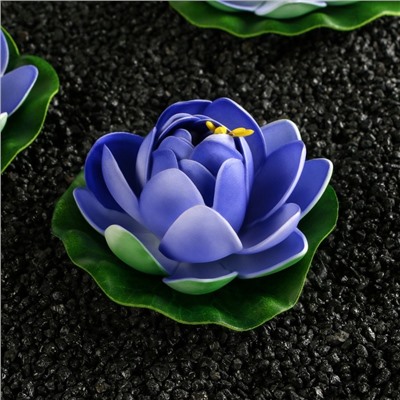 Набор растений аквариумных "Лотосы", плавающие, 10,7 х 10.3 х 4,5 см, синий