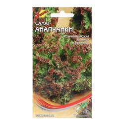 Семена Салат "Анапчанин", 630 шт