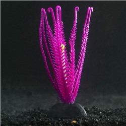 Растение силиконовое аквариумное, светящееся в темноте, 9 х 14 см, фиолетовое
