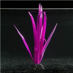 Растение силиконовое аквариумное, светящееся в темноте, 8 х 22 см, фиолетовое