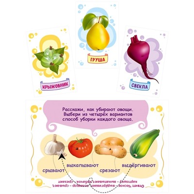 Настольная игра «Первые знания. Фрукты, овощи, ягоды»