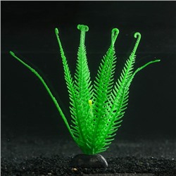 Растение силиконовое аквариумное, светящееся в темноте, 10,5 х 18 см, зелёное