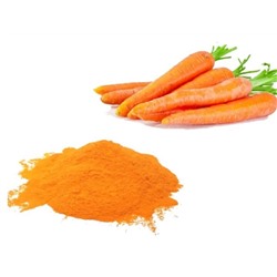 .Морковь порошок , вес 250 гр