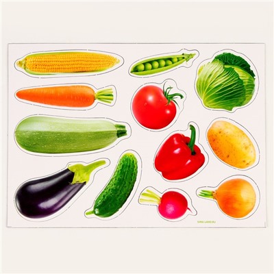 Магнитная игра «‎Овощи»‎