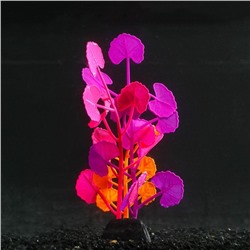 Растение силиконовое аквариумное, светящееся в темноте, 8 х 19 см, разноцветное