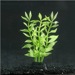 Растение силиконовое аквариумное, светящееся в темноте, 8 х 15 см, зелёное