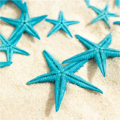 Набор натуральных морских звезд,  1,5 - 2,5 см, 20 шт, синий