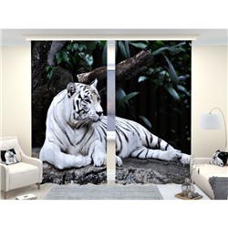 Фотошторы «Белый тигр», размер 150 × 260 см, димаут