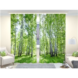 Фотошторы «Березовый лес 2», размер 150 × 260 см, димаут