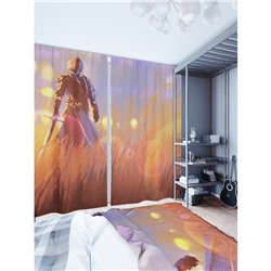 Фотошторы «Рыцарь с мечем», размер 150 × 260 см, димаут