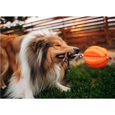 Игрушка на канате "Баскетбольный мяч" для собак, 9 см, микс цветов