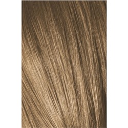 Краситель для волос Igora Absolutes, тон Age Blend, тон 7-450, средний русый, бежевый золотистый, 60 мл