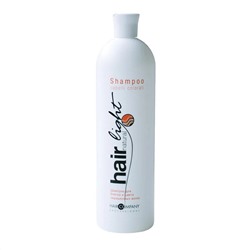 Hair Company Professional Шампунь для блеска и цвета окрашенных волос / Hair Natural Light Shampoo Capelli Colorati, 1000 мл