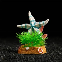 Декор для аквариума "Звезда" на подставке, 6,5 х 4,8 х 7,9 см