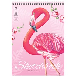 Скетчбук А4  60л. 160г/м, карт. обл на спир. "Flamingos" (С60грг_47671, ArtSpace)