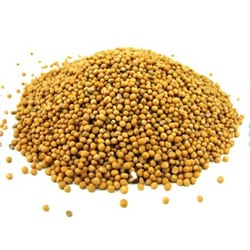 Горчичное семя желтое, Вес 250 гр